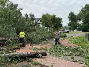 Storm damage clean up